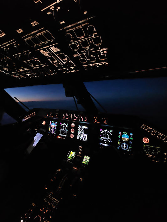 Choosing the Right Flight School: Understanding Your Options